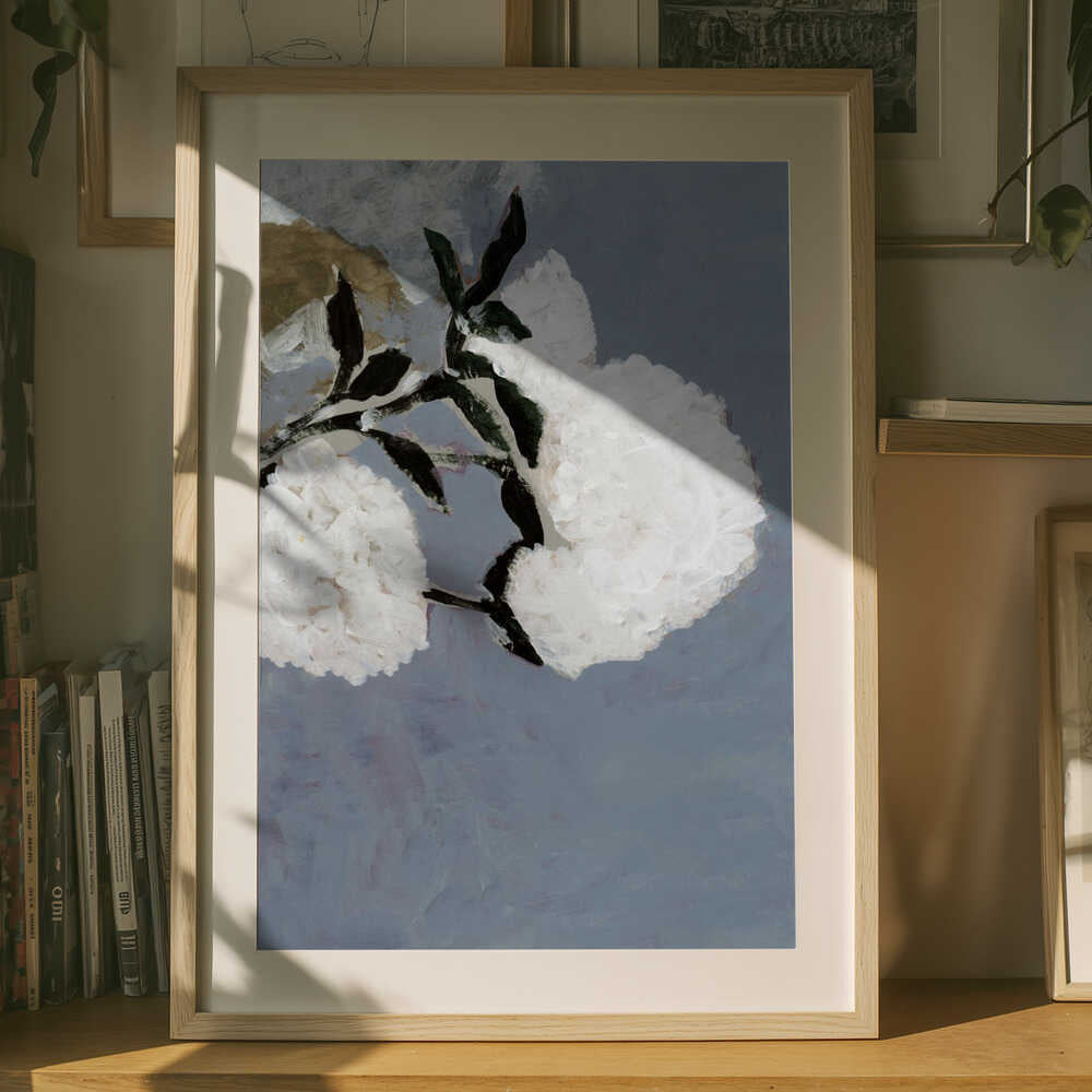 Soft White Blooms