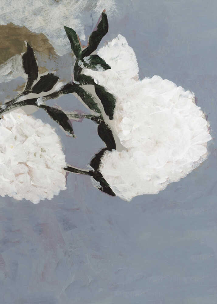 Soft White Blooms