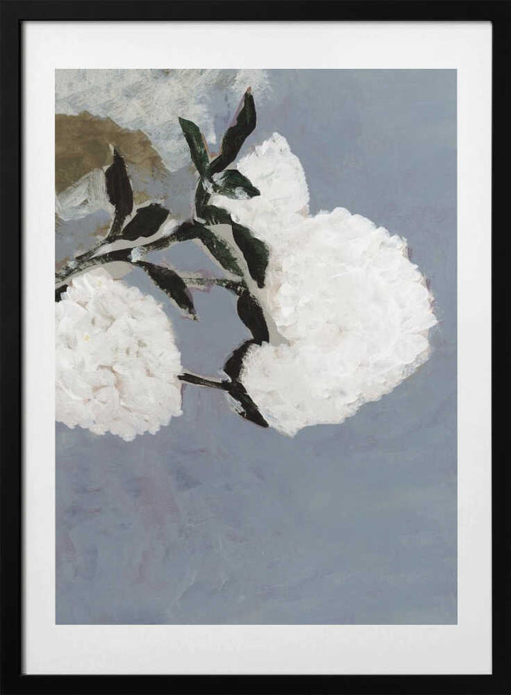 Soft White Blooms