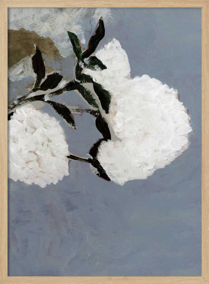 Soft White Blooms