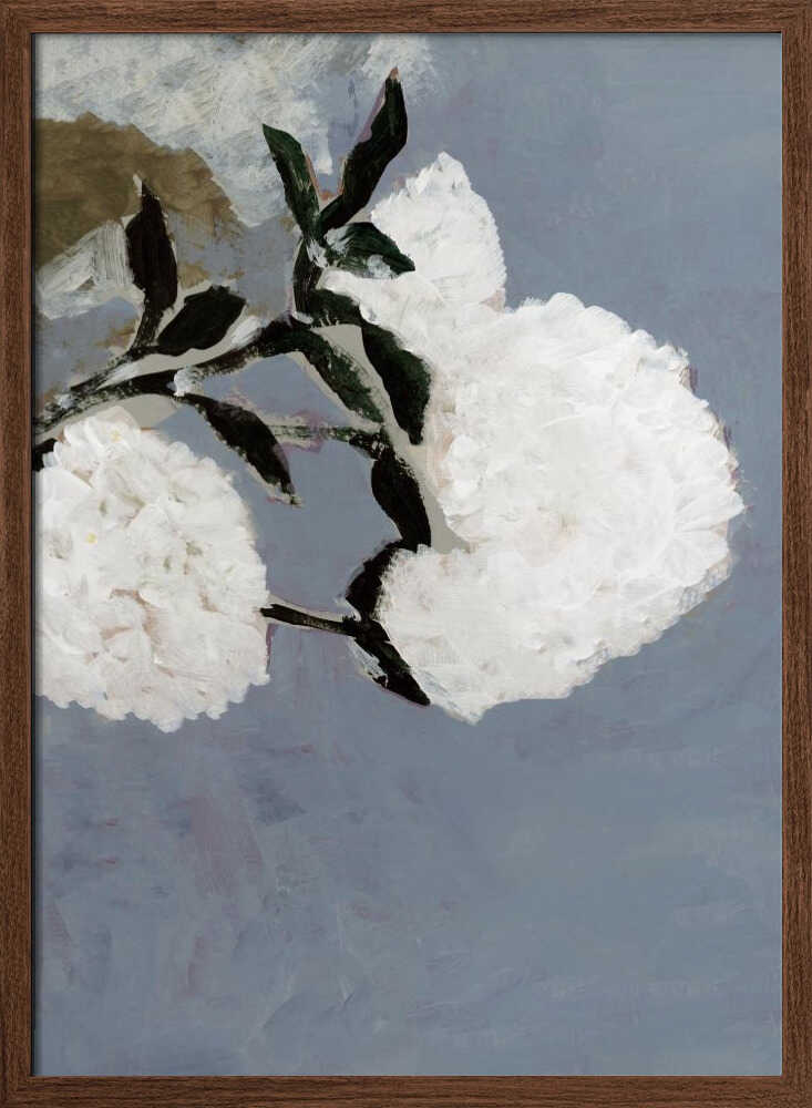Soft White Blooms
