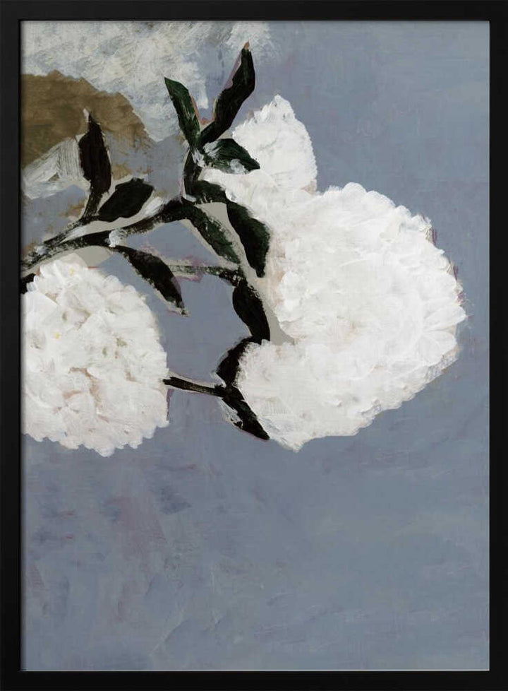 Soft White Blooms