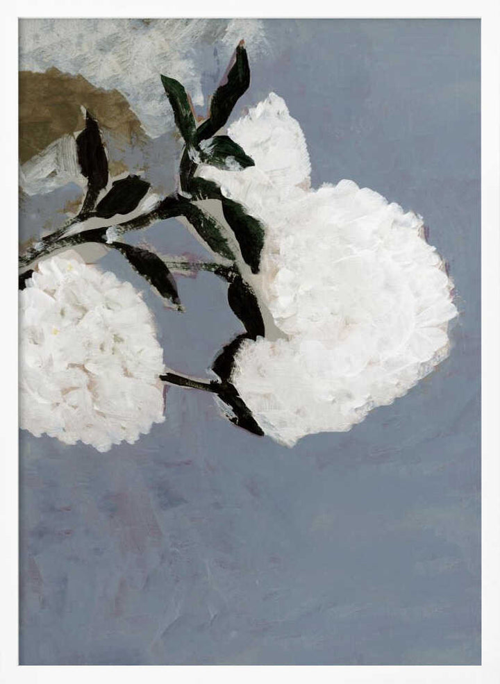Soft White Blooms