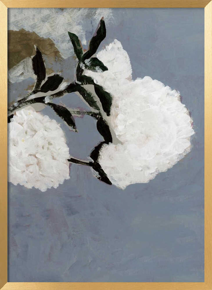 Soft White Blooms