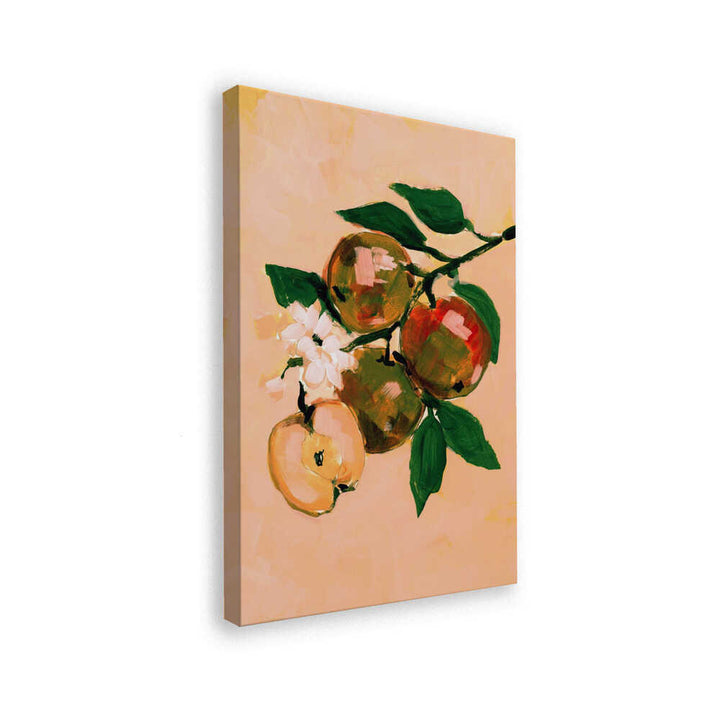 Apple Branch Blossoms