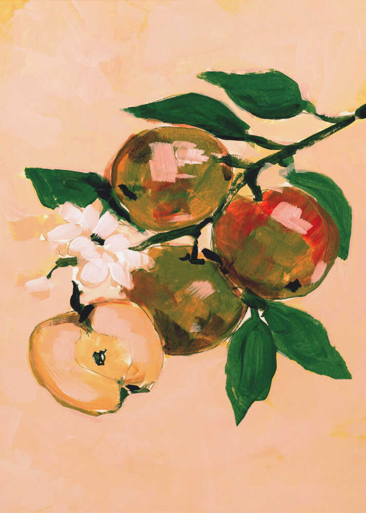 Apple Branch Blossoms