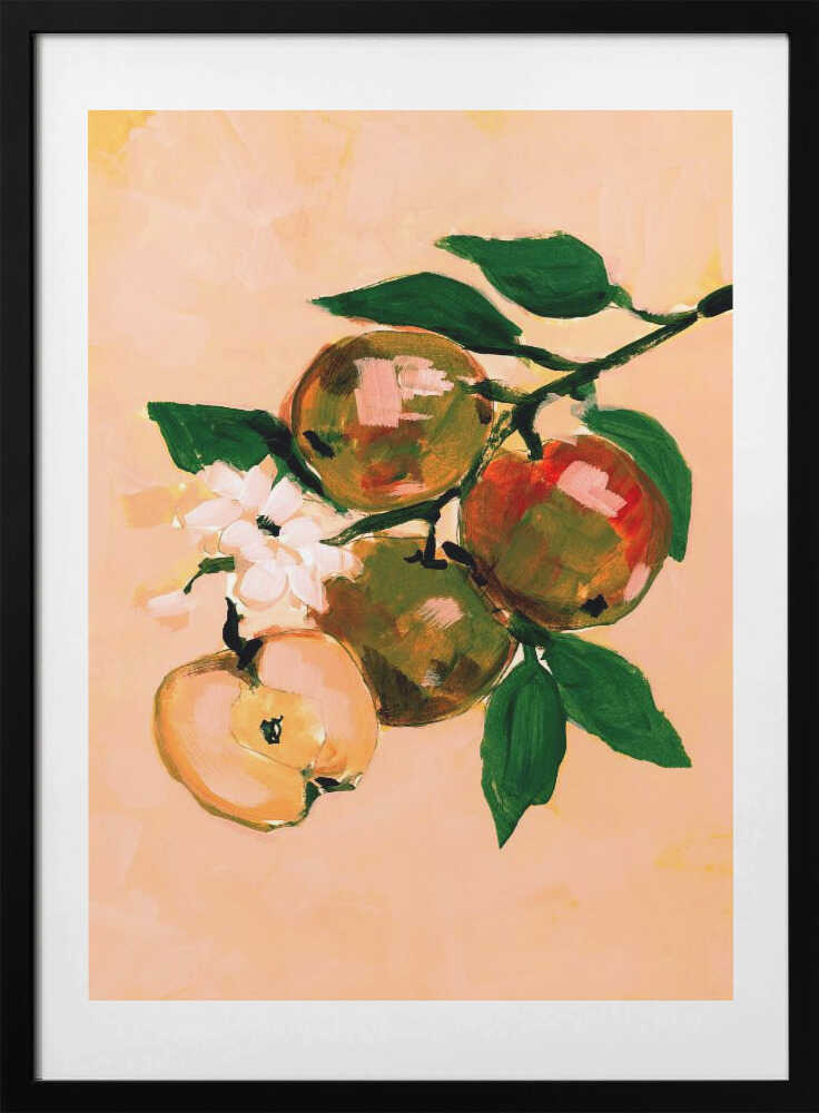 Apple Branch Blossoms