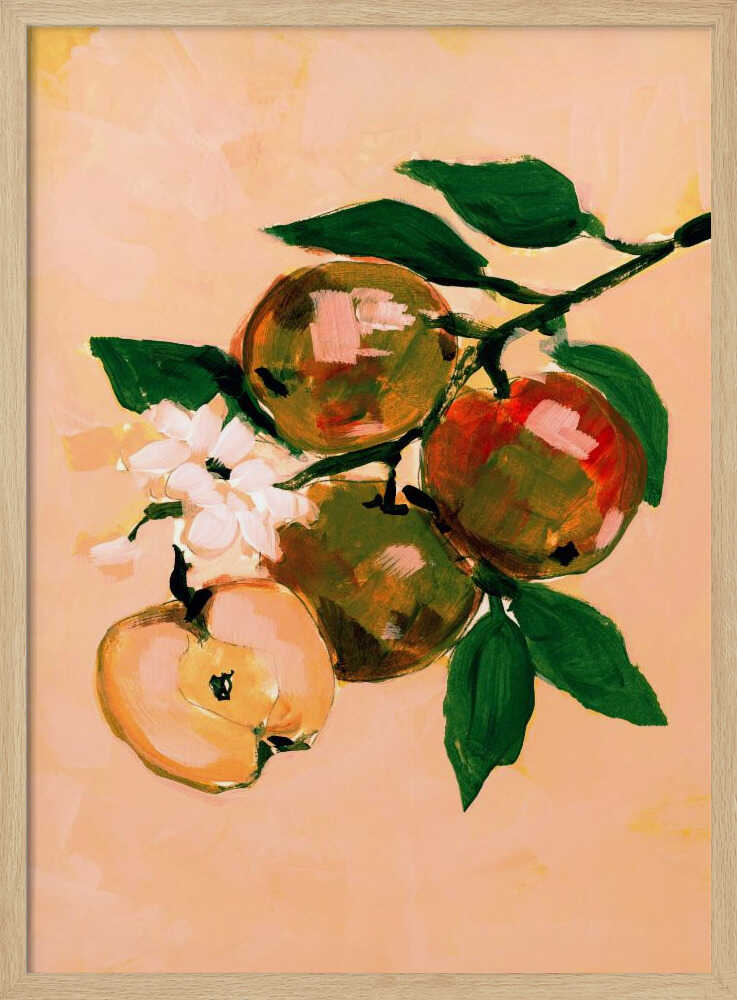 Apple Branch Blossoms