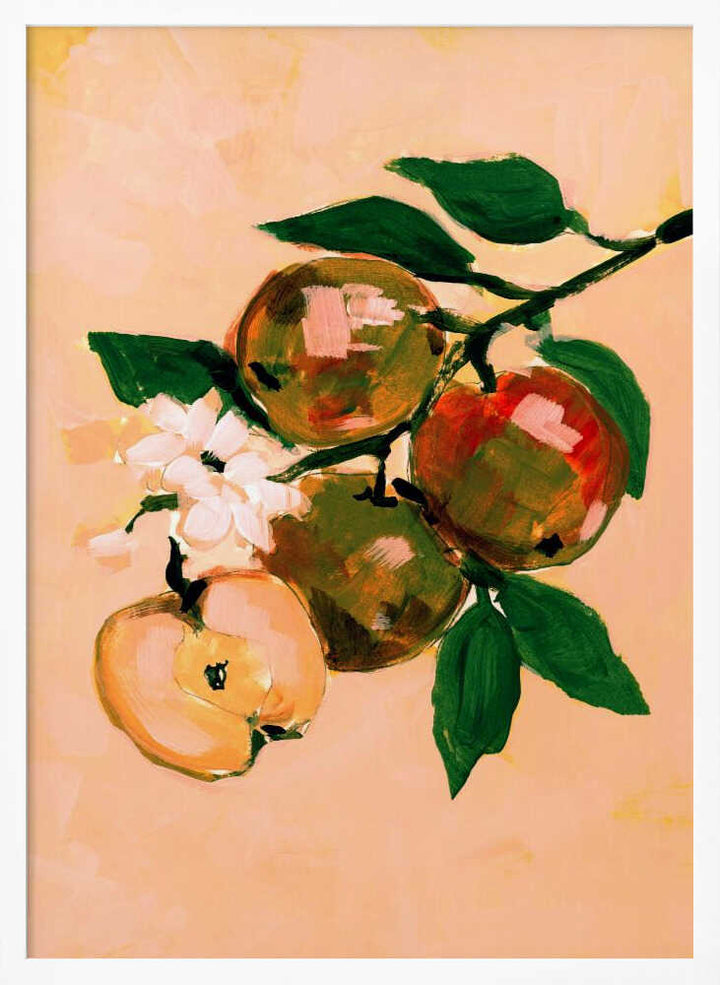 Apple Branch Blossoms