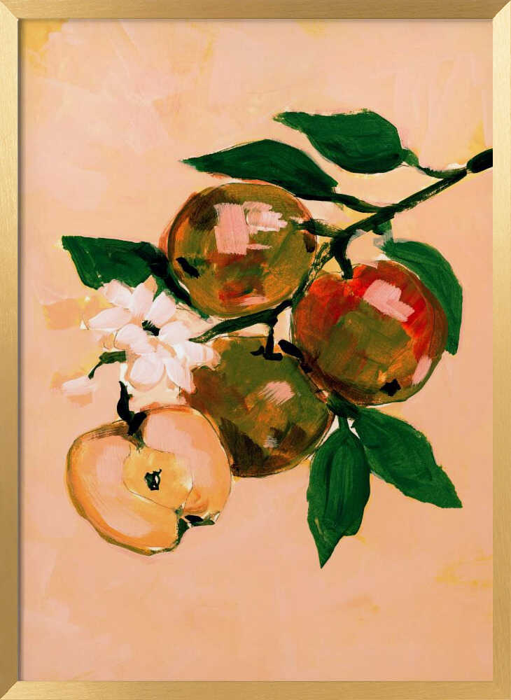 Apple Branch Blossoms