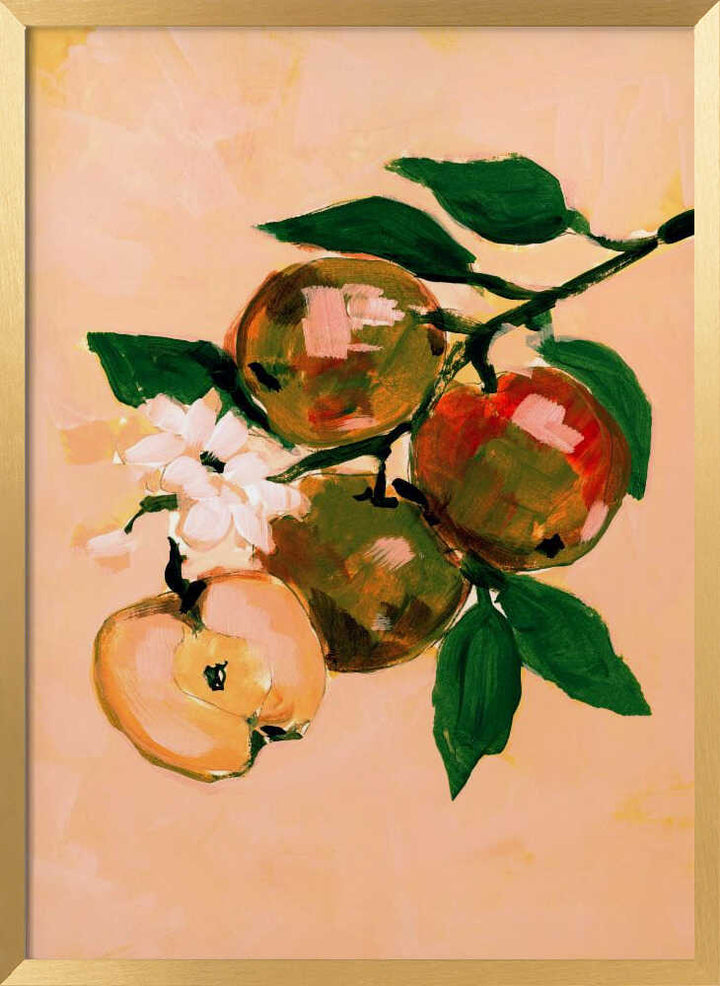 Apple Branch Blossoms