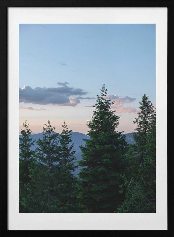 Twilight Forest Peaks