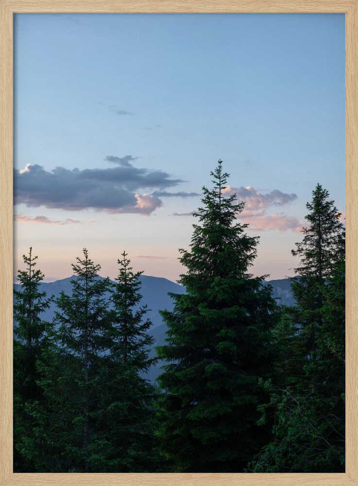 Twilight Forest Peaks