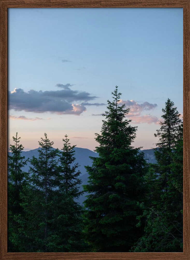 Twilight Forest Peaks