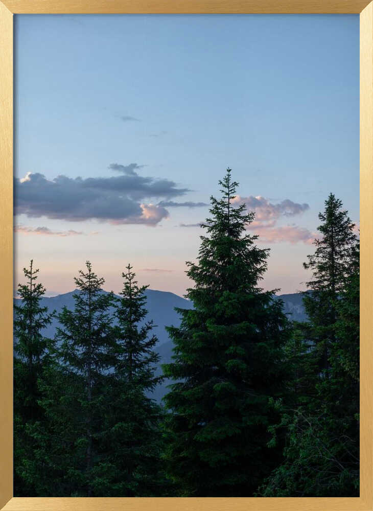 Twilight Forest Peaks