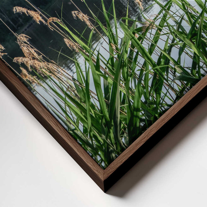 Peaceful Lake Reeds