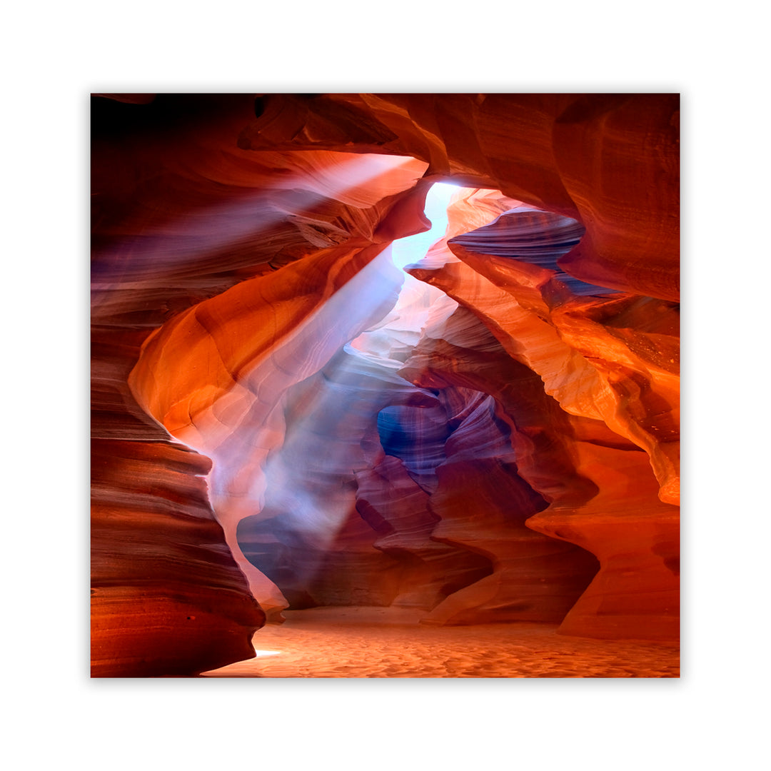 "Pure Photodelight" Acrylic Wall Art