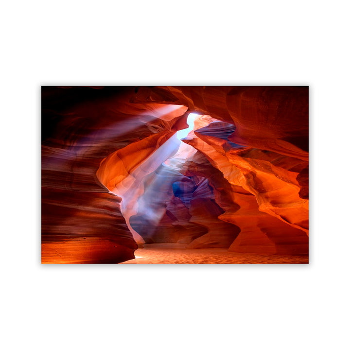 "Pure Photodelight" Acrylic Wall Art