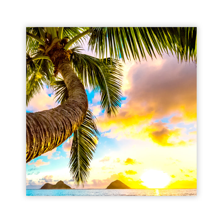 "Hawaiian Dawn" Acrylic Wall Art