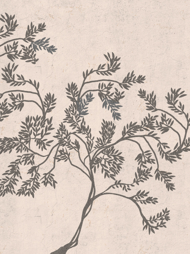 "Delicate Olive Branches" by Josie George — Botanical Wall Art