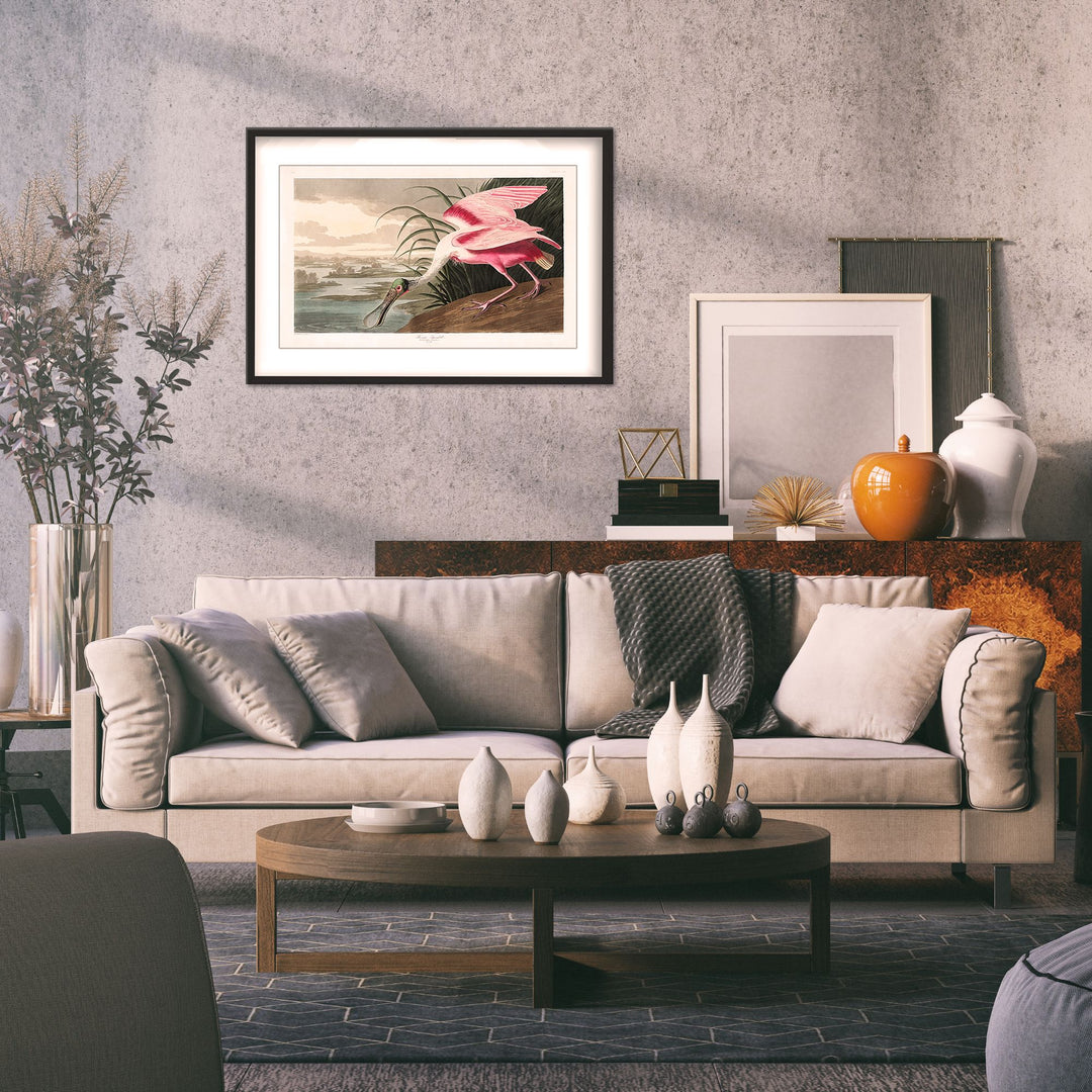 "Roseate Spoonbill From Birds of America (1827)" Framed Matted Print Wall Art
