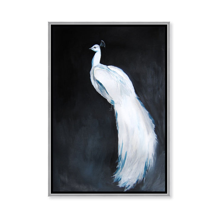 "Alabaster Majesty: White Peacock against the Night" Framed CanvasWall Art