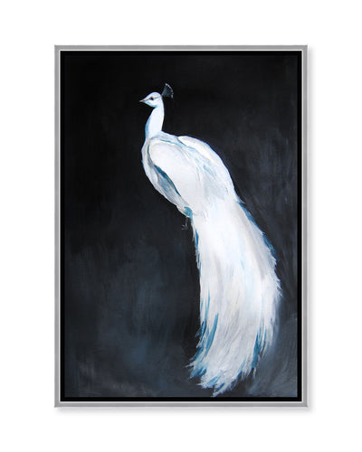 "Alabaster Majesty: White Peacock against the Night" Framed CanvasWall Art