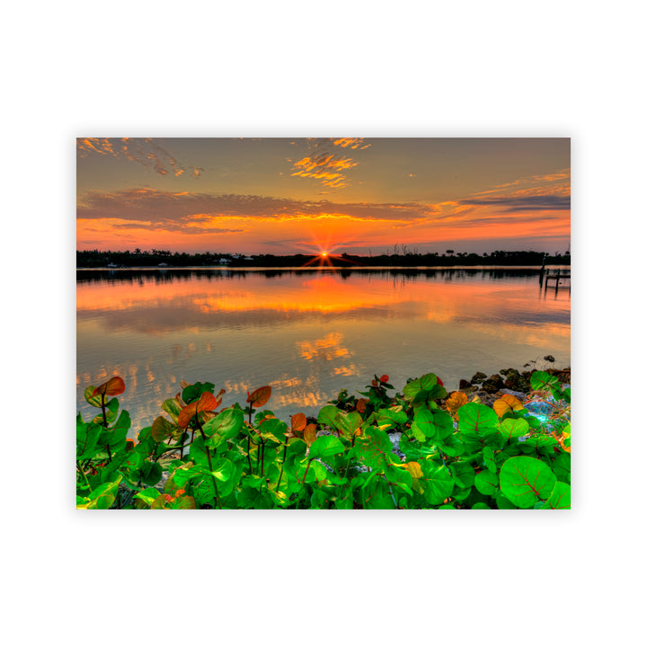 "Beauty at Rest" Acrylic Wall Art