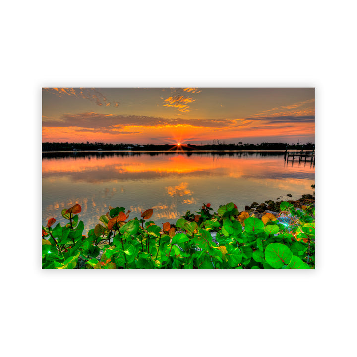 "Beauty at Rest" Acrylic Wall Art