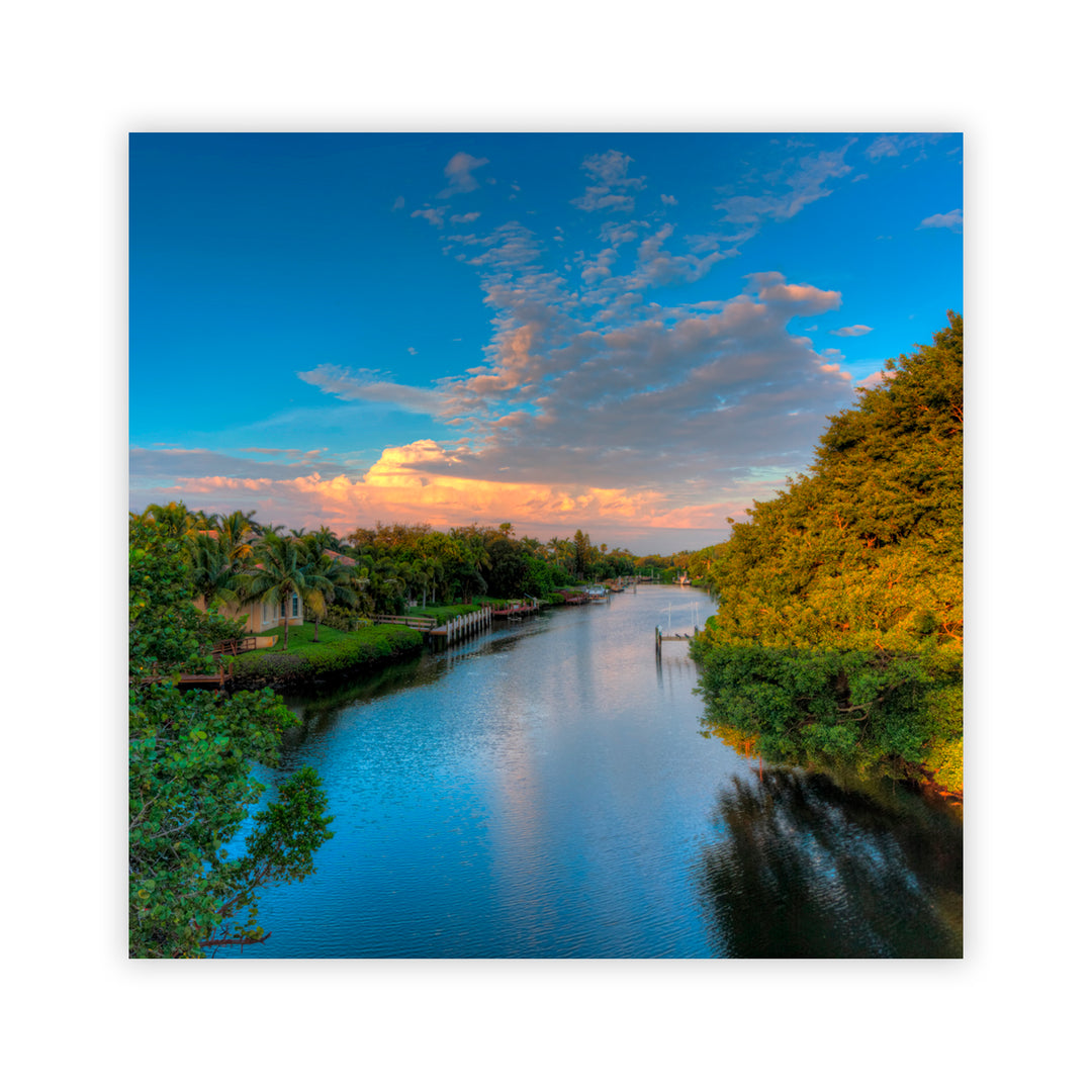 "Wild Allure" Acrylic Wall Art