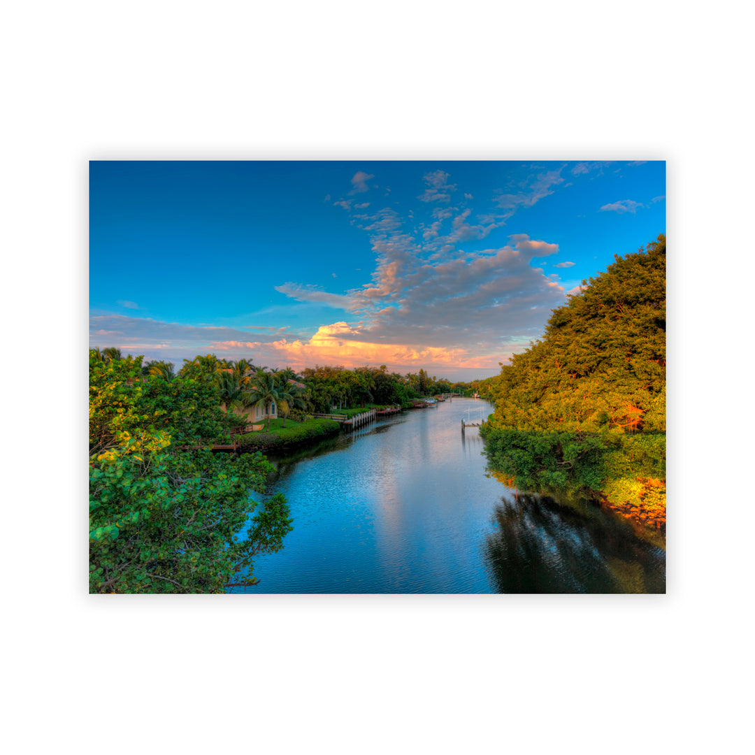 "Wild Allure" Acrylic Wall Art