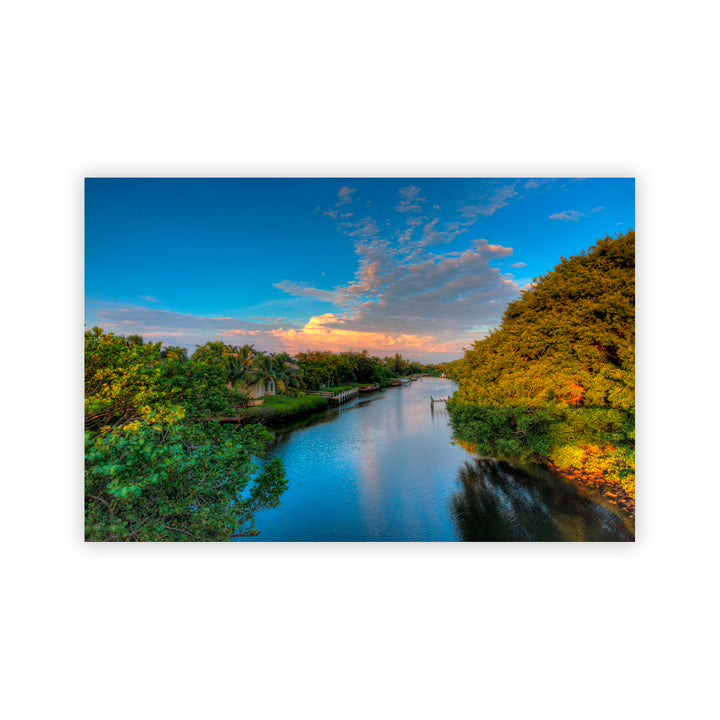 "Wild Allure" Acrylic Wall Art
