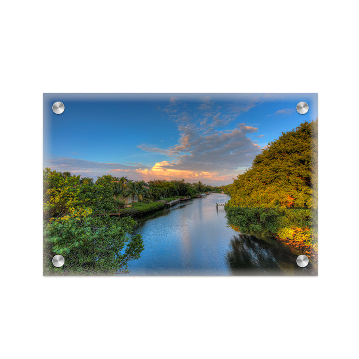 "Wild Allure" Acrylic Wall Art