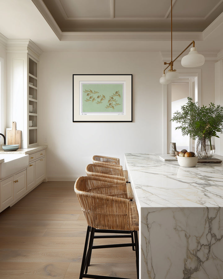 "The Turtles" Framed Matted Print Wall Art by ChiChi Décor