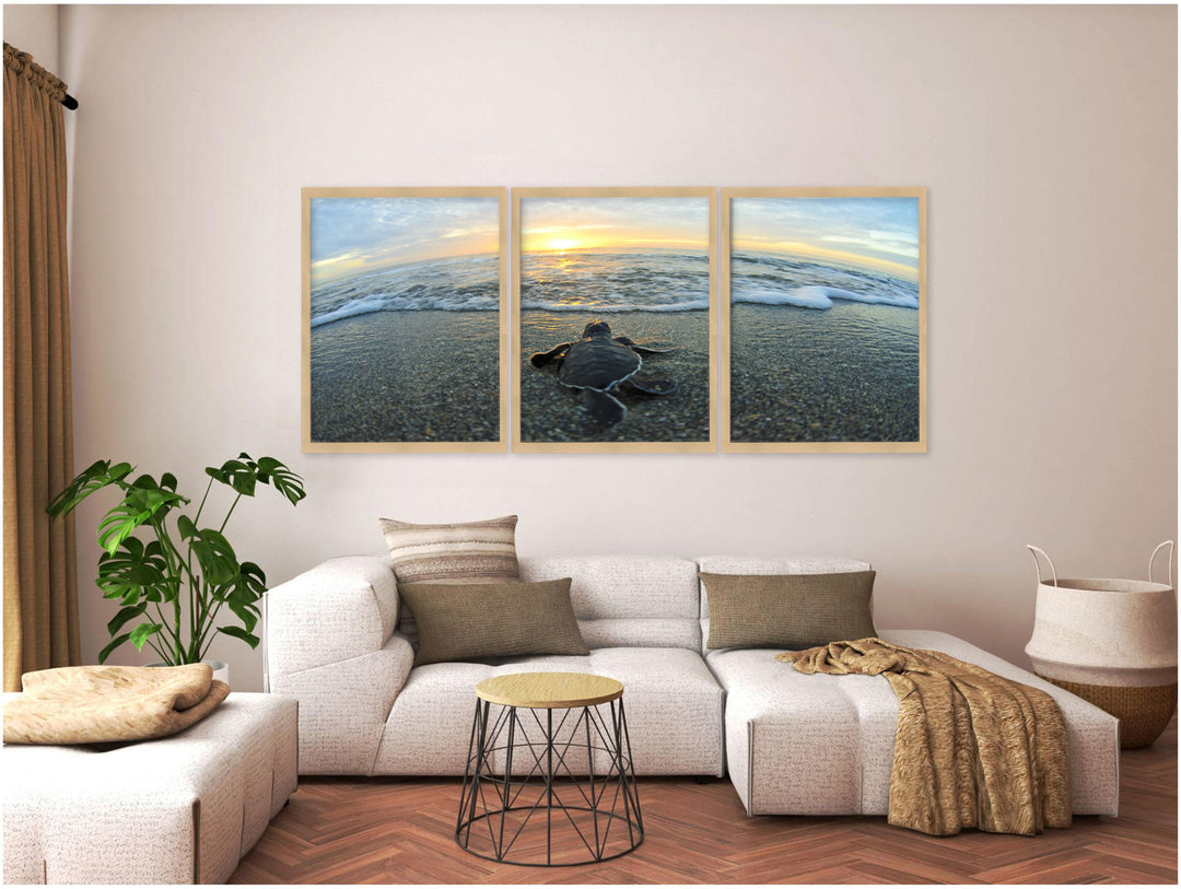 "Turtle "Set of Three Framed Textured Wall Art