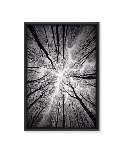 "Ceiling" Framed Canvas Wall Art