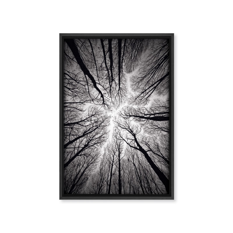 "Ceiling" Framed Canvas Wall Art