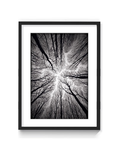 "Ceiling" Framed Matted Print Wall Art