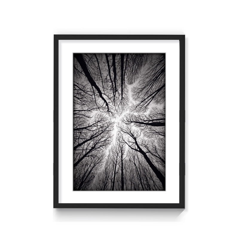 "Ceiling" Framed Matted Print Wall Art