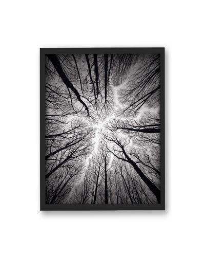 "Ceiling" Framed Textured Wall Art