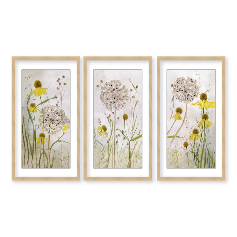 "Alliums and Heleniums" Set of Three Framed Matted Print Wall Art