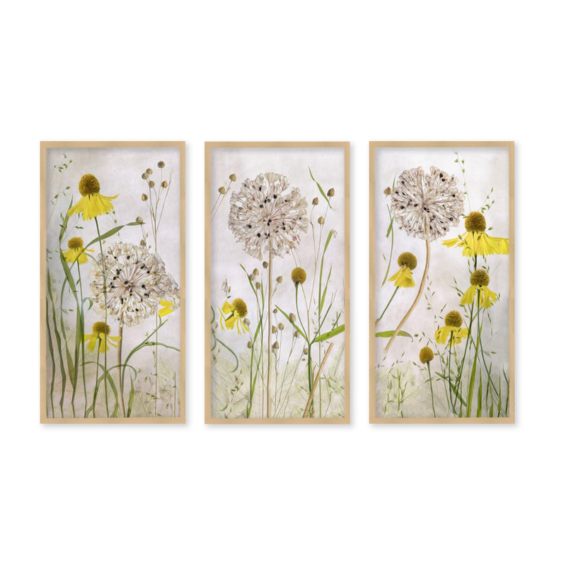 "Alliums and Heleniums"Set of Three Framed Textured Wall Art