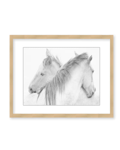 "Horses" Framed Matted Print Wall Art