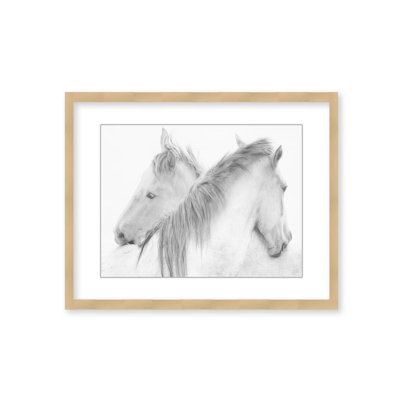 "Horses" Framed Matted Print Wall Art