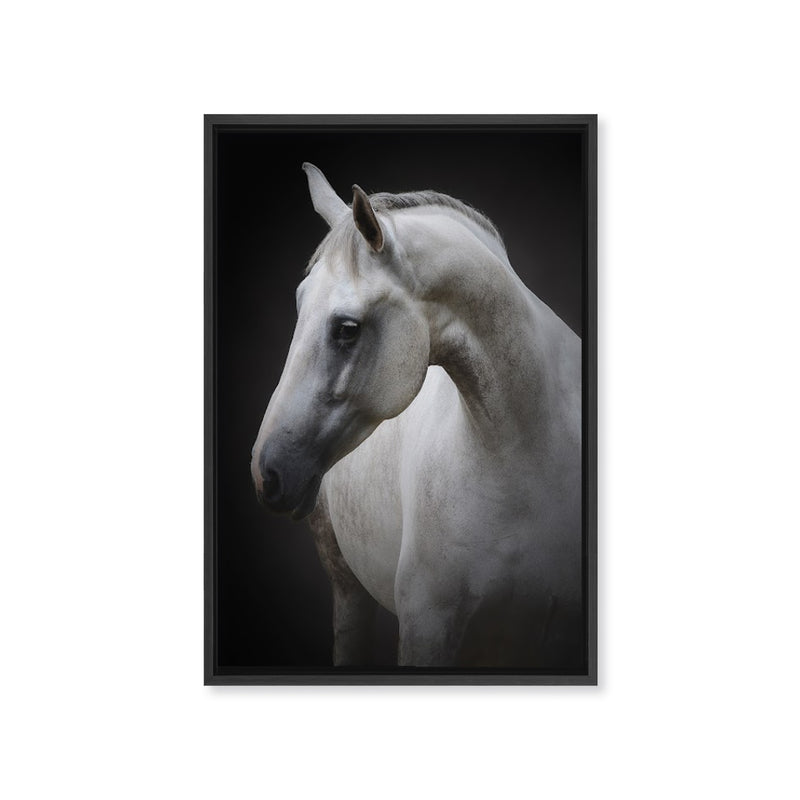 "Maggie" Framed Canvas Wall Art