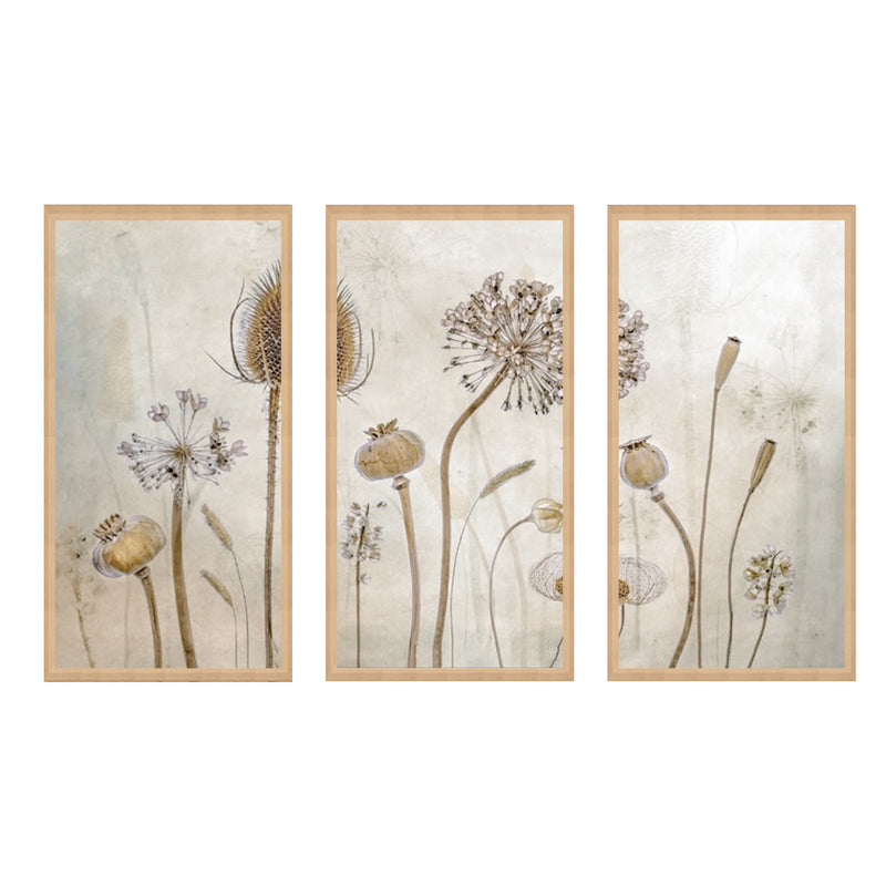 "Growing Old" Set of Three Framed Canvas Wall Art