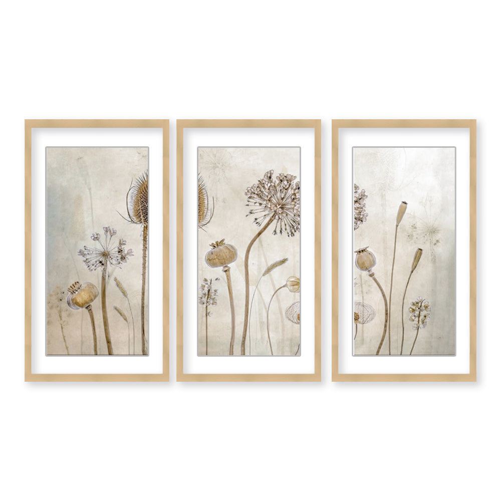 "Growing Old" Set of Three Framed Matted Print Wall Art