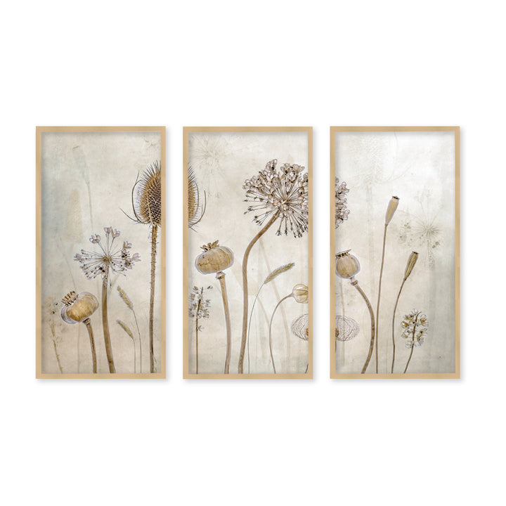 "Growing Old"Set of Three Framed Textured Wall Art
