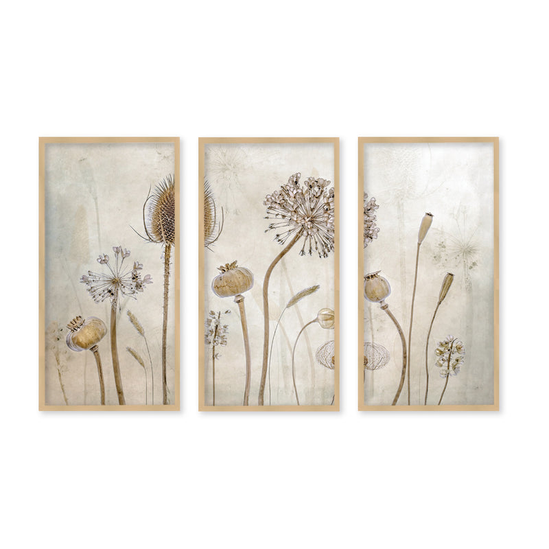 "Growing Old"Set of Three Framed Textured Wall Art