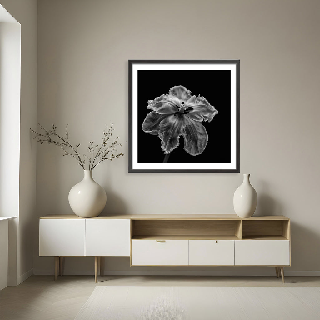 "Parrot Tulip" Framed Print Wall Art